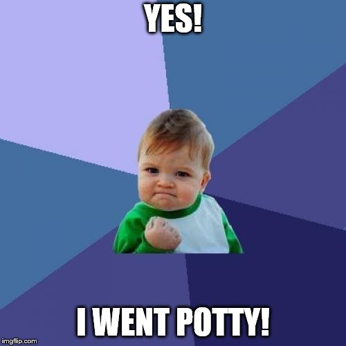 Success Kid | YES! I WENT POTTY! | image tagged in memes,success kid | made w/ Imgflip meme maker
