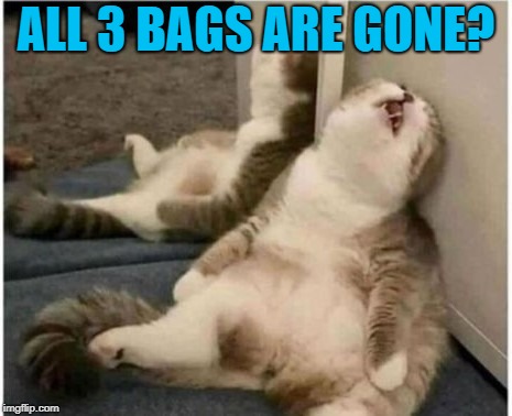 ALL 3 BAGS ARE GONE? | made w/ Imgflip meme maker