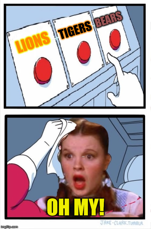Three Buttons Dorothy | BEARS; TIGERS; LIONS; OH MY! | image tagged in memes,two buttons,lions,tigers,bears,oh my | made w/ Imgflip meme maker