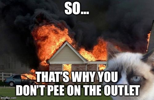 Burn Kitty | SO... THAT’S WHY YOU DON’T PEE ON THE OUTLET | image tagged in memes,burn kitty,grumpy cat | made w/ Imgflip meme maker