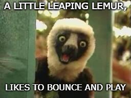 Zoboomafoo | A LITTLE LEAPING LEMUR, LIKES TO BOUNCE AND PLAY | image tagged in zoboomafoo | made w/ Imgflip meme maker