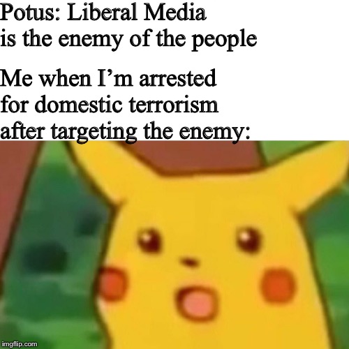 Surprised Pikachu Meme | Potus: Liberal Media is the enemy of the people; Me when I’m arrested for domestic terrorism after targeting the enemy: | image tagged in memes,surprised pikachu,PoliticalHumor | made w/ Imgflip meme maker