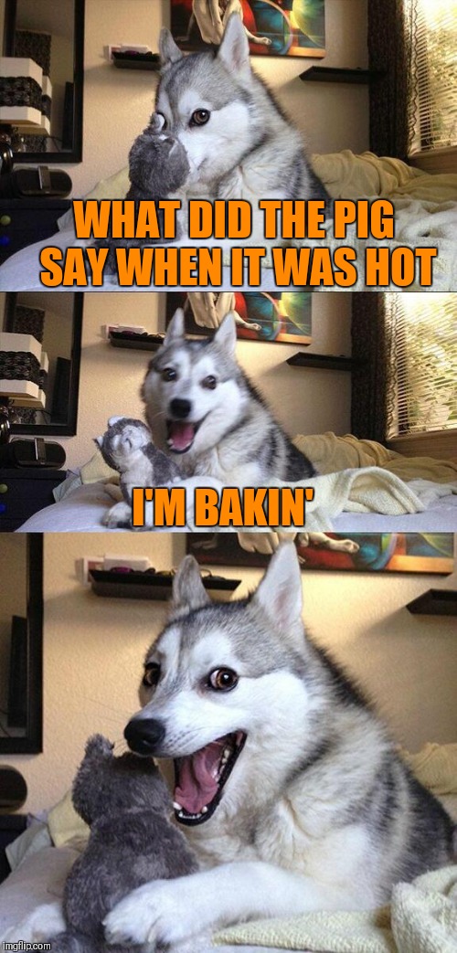 Bad Pun Dog | WHAT DID THE PIG SAY WHEN IT WAS HOT; I'M BAKIN' | image tagged in memes,bad pun dog,puns,funny,pigs,bacon | made w/ Imgflip meme maker