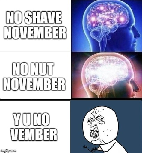 Y U NOvember a socrates and punman21 event | image tagged in y u no,no shave november,no nut november,yuno | made w/ Imgflip meme maker