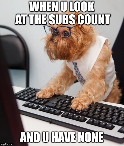 work dog | WHEN U LOOK AT THE SUBS COUNT; AND U HAVE NONE | image tagged in work dog | made w/ Imgflip meme maker