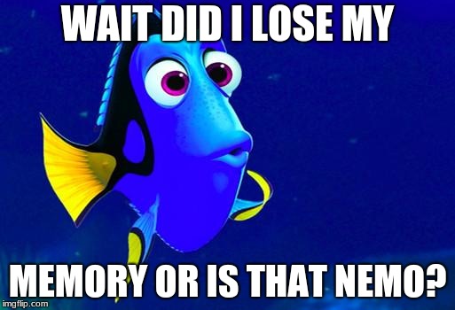 Bad Memory Fish | WAIT DID I LOSE MY; MEMORY OR IS THAT NEMO? | image tagged in bad memory fish | made w/ Imgflip meme maker
