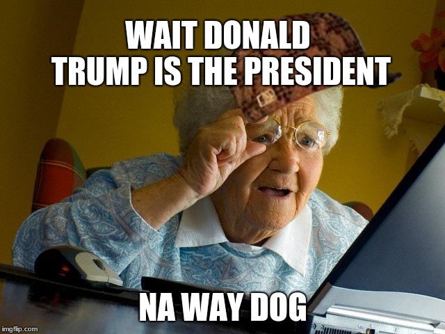Grandma Finds The Internet | WAIT DONALD TRUMP IS THE PRESIDENT; NA WAY DOG | image tagged in memes,grandma finds the internet,scumbag | made w/ Imgflip meme maker