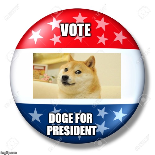 Blank for president | VOTE; DOGE FOR PRESIDENT | image tagged in blank for president,president,doge | made w/ Imgflip meme maker