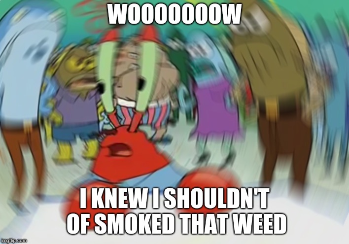 Mr Krabs Blur Meme | WOOOOOOOW; I KNEW I SHOULDN'T OF SMOKED THAT WEED | image tagged in memes,mr krabs blur meme | made w/ Imgflip meme maker