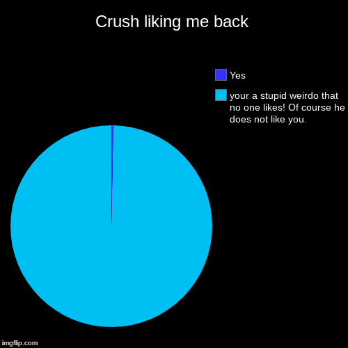 Crush liking me back | your a stupid weirdo that no one likes! Of course he does not like you., Yes | image tagged in funny,pie charts | made w/ Imgflip chart maker