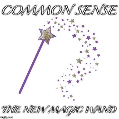 COMMON SENSE; THE NEW MAGIC WAND | made w/ Imgflip meme maker