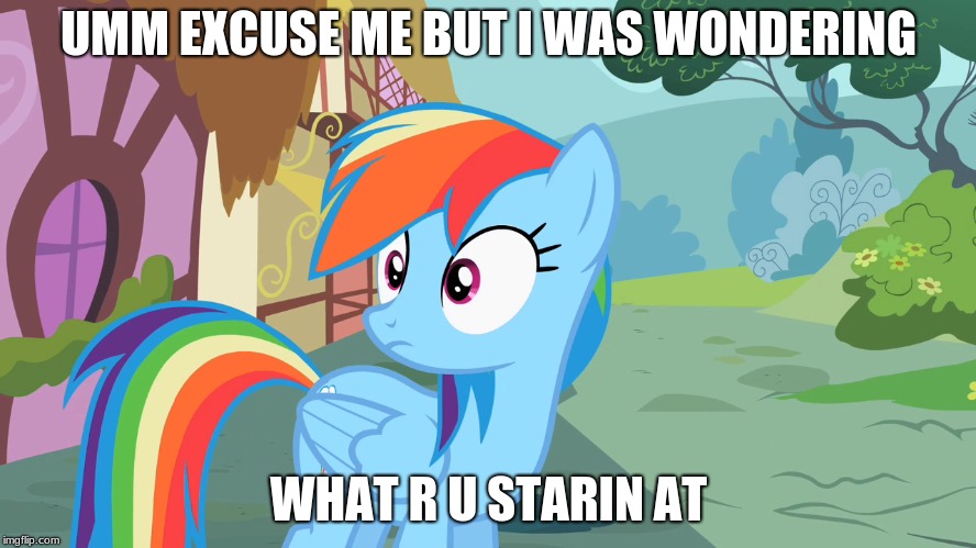 what u starin at | UMM EXCUSE ME BUT I WAS WONDERING; WHAT R U STARIN AT | image tagged in funny memes,my little pony,rainbow dash | made w/ Imgflip meme maker