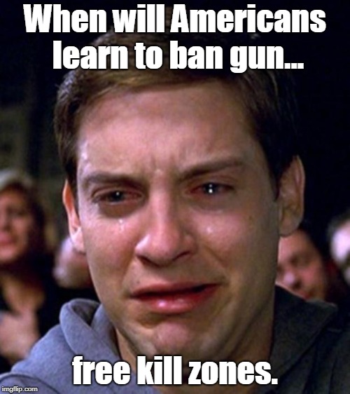 We Must Stop the Insanity Now! | When will Americans learn to ban gun... free kill zones. | image tagged in crying peter parker,funny,ban gun free kill zones | made w/ Imgflip meme maker