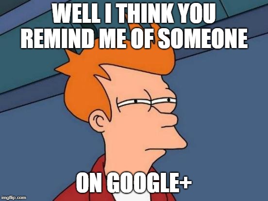 Futurama Fry Meme | WELL I THINK YOU REMIND ME OF SOMEONE ON GOOGLE+ | image tagged in memes,futurama fry | made w/ Imgflip meme maker