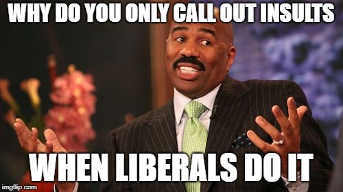 Steve Harvey Meme | WHY DO YOU ONLY CALL OUT INSULTS WHEN LIBERALS DO IT | image tagged in memes,steve harvey | made w/ Imgflip meme maker