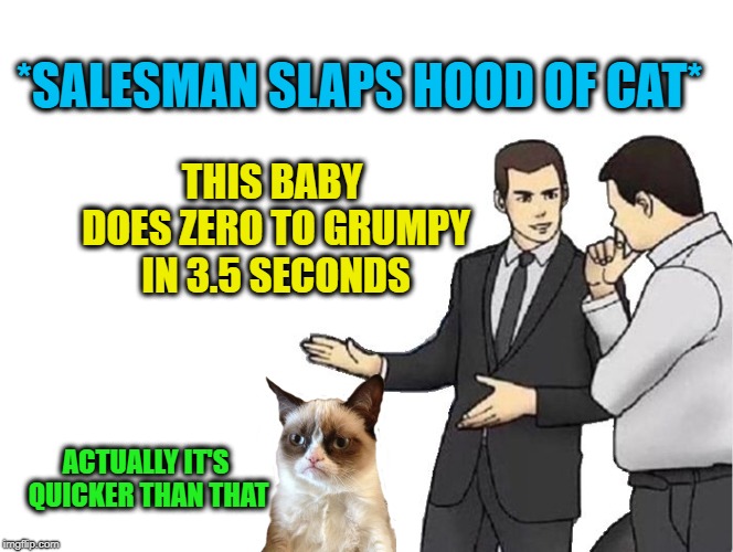 Cat Salesman | *SALESMAN SLAPS HOOD OF CAT*; THIS BABY DOES ZERO TO GRUMPY IN 3.5 SECONDS; ACTUALLY IT'S QUICKER THAN THAT | image tagged in memes,car salesman slaps hood,cat,grumpy cat,cats | made w/ Imgflip meme maker