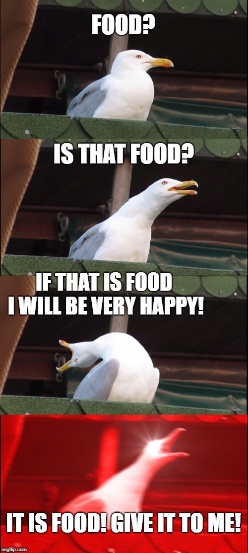 Inhaling Seagull Meme | FOOD? IS THAT FOOD? IF THAT IS FOOD I WILL BE VERY HAPPY! IT IS FOOD! GIVE IT TO ME! | image tagged in memes,inhaling seagull | made w/ Imgflip meme maker