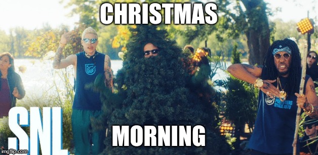 CHRISTMAS; MORNING | image tagged in snl,trees | made w/ Imgflip meme maker