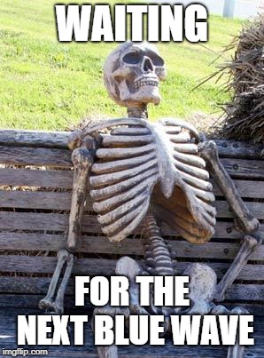 Waiting Skeleton | WAITING; FOR THE NEXT BLUE WAVE | image tagged in memes,waiting skeleton | made w/ Imgflip meme maker