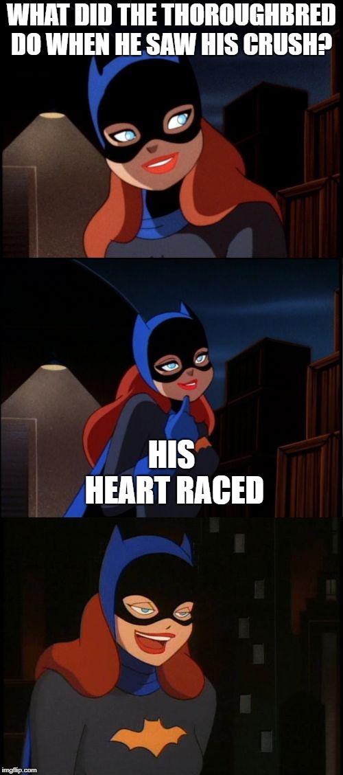 Bad Pun Batgirl Week, a giveuahint and Supercowgirl event | WHAT DID THE THOROUGHBRED DO WHEN HE SAW HIS CRUSH? HIS HEART RACED | image tagged in bad pun batgirl,week,memes,funny,horse racing,crush | made w/ Imgflip meme maker