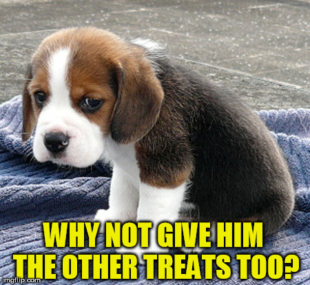 Cute dog | WHY NOT GIVE HIM THE OTHER TREATS TOO? | image tagged in sad dog,meme,cute puppy,cute dog | made w/ Imgflip meme maker