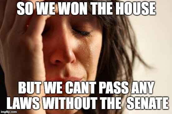 First World Problems Meme | SO WE WON THE HOUSE; BUT WE CANT PASS ANY LAWS WITHOUT THE  SENATE | image tagged in memes,first world problems | made w/ Imgflip meme maker