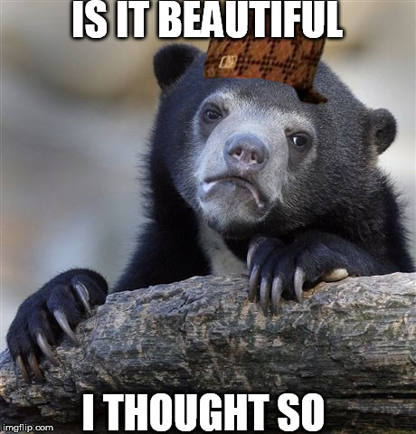 Confession Bear Meme | IS IT BEAUTIFUL; I THOUGHT SO | image tagged in memes,confession bear,scumbag | made w/ Imgflip meme maker