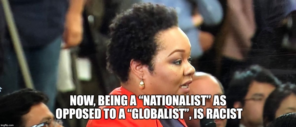 NOW, BEING A “NATIONALIST” AS OPPOSED TO A “GLOBALIST”, IS RACIST | image tagged in reporter | made w/ Imgflip meme maker