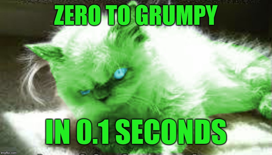 mad raycat | ZERO TO GRUMPY IN 0.1 SECONDS | image tagged in mad raycat | made w/ Imgflip meme maker