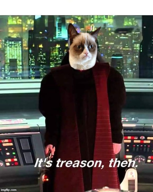 Its Treason then | image tagged in its treason then | made w/ Imgflip meme maker