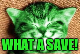 happy RayCat | WHAT A SAVE! | image tagged in happy raycat | made w/ Imgflip meme maker