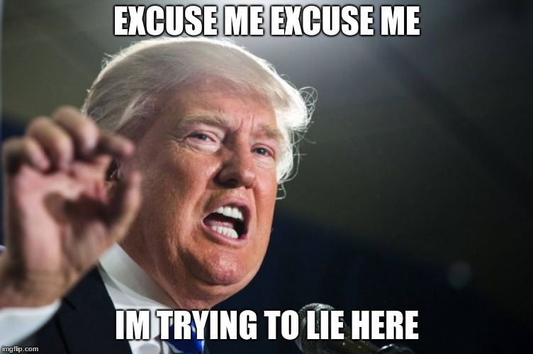 donald trump | EXCUSE ME EXCUSE ME; IM TRYING TO LIE HERE | image tagged in donald trump | made w/ Imgflip meme maker