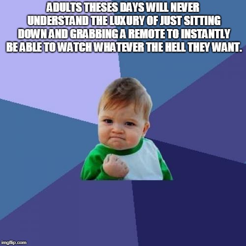 Success Kid Meme | ADULTS THESES DAYS WILL NEVER UNDERSTAND THE LUXURY OF JUST SITTING DOWN AND GRABBING A REMOTE TO INSTANTLY BE ABLE TO WATCH WHATEVER THE HELL THEY WANT. | image tagged in memes,success kid | made w/ Imgflip meme maker