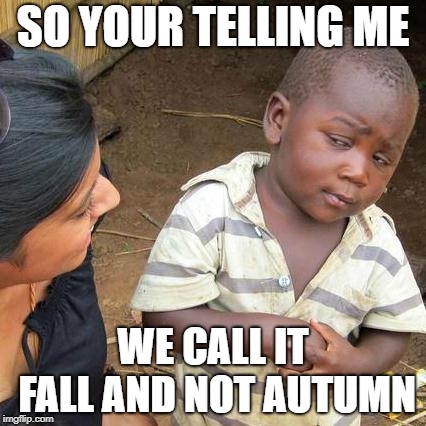 Third World Skeptical Kid Meme | SO YOUR TELLING ME; WE CALL IT FALL AND NOT AUTUMN | image tagged in memes,third world skeptical kid | made w/ Imgflip meme maker