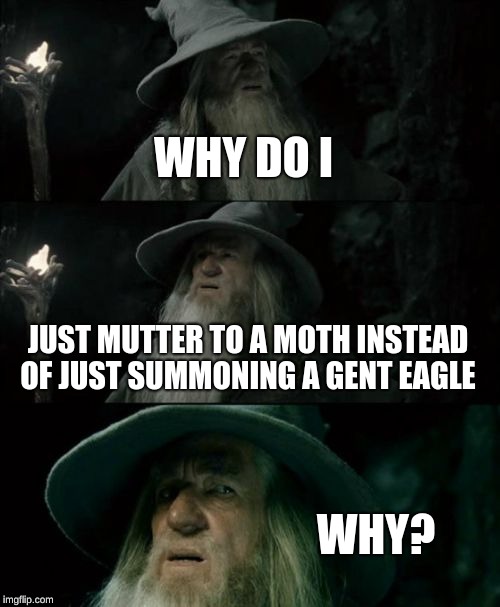 Confused Gandalf Meme | WHY DO I; JUST MUTTER TO A MOTH INSTEAD OF JUST SUMMONING A GENT EAGLE; WHY? | image tagged in memes,confused gandalf | made w/ Imgflip meme maker