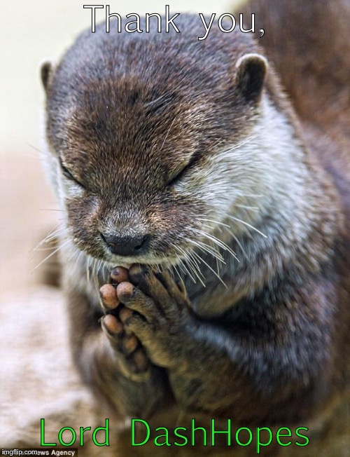Thank you Lord Otter | Thank you, Lord DashHopes | image tagged in thank you lord otter | made w/ Imgflip meme maker