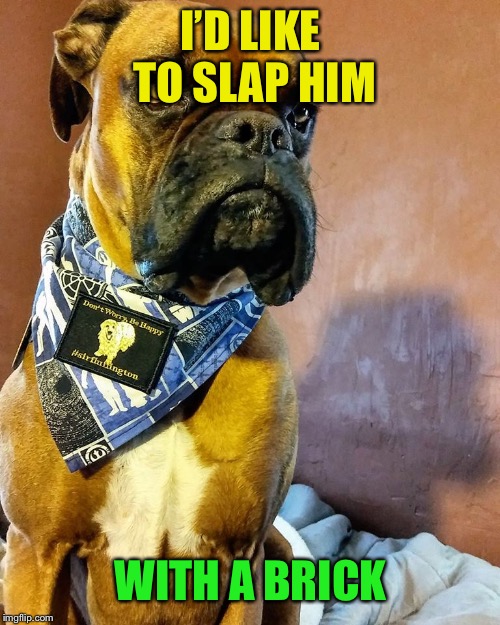 Grumpy Dog | I’D LIKE TO SLAP HIM WITH A BRICK | image tagged in grumpy dog | made w/ Imgflip meme maker