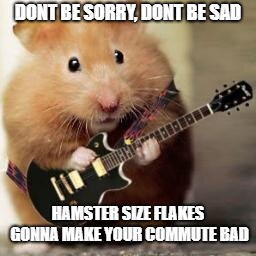 Hamster Size Flakes Band | DONT BE SORRY, DONT BE SAD; HAMSTER SIZE FLAKES GONNA MAKE YOUR COMMUTE BAD | image tagged in winter,hamster,snow | made w/ Imgflip meme maker