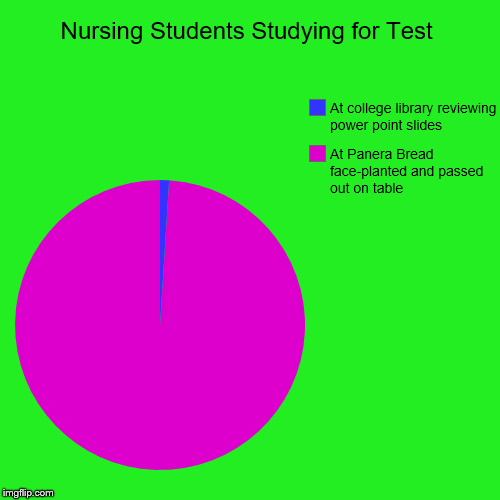 Nursing Students Studying for Test | At Panera Bread face-planted and passed out on table, At college library reviewing power point slides | image tagged in funny,pie charts,nursing,students,studying,test | made w/ Imgflip chart maker