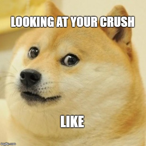Doge | LOOKING AT YOUR CRUSH; LIKE | image tagged in memes,doge | made w/ Imgflip meme maker