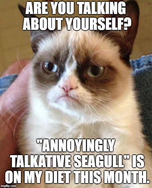 Grumpy Cat Meme | ARE YOU TALKING ABOUT YOURSELF? "ANNOYINGLY TALKATIVE SEAGULL" IS ON MY DIET THIS MONTH. | image tagged in memes,grumpy cat | made w/ Imgflip meme maker