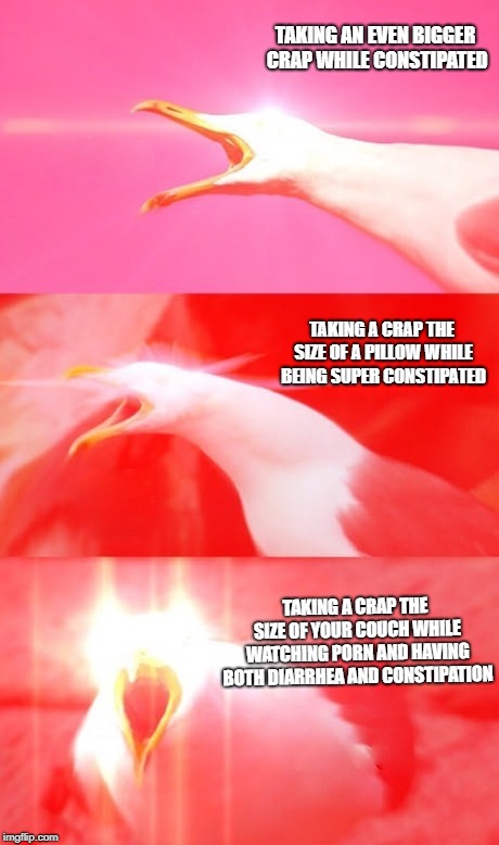 Inhaling Seagull Reply | TAKING AN EVEN BIGGER CRAP WHILE CONSTIPATED TAKING A CRAP THE SIZE OF YOUR COUCH WHILE WATCHING PORN AND HAVING BOTH DIARRHEA AND CONSTIPAT | image tagged in inhaling seagull reply | made w/ Imgflip meme maker