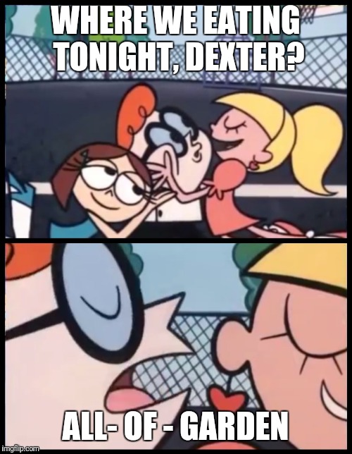 Say it Again, Dexter | WHERE WE EATING TONIGHT, DEXTER? ALL- OF - GARDEN | image tagged in say it again dexter | made w/ Imgflip meme maker