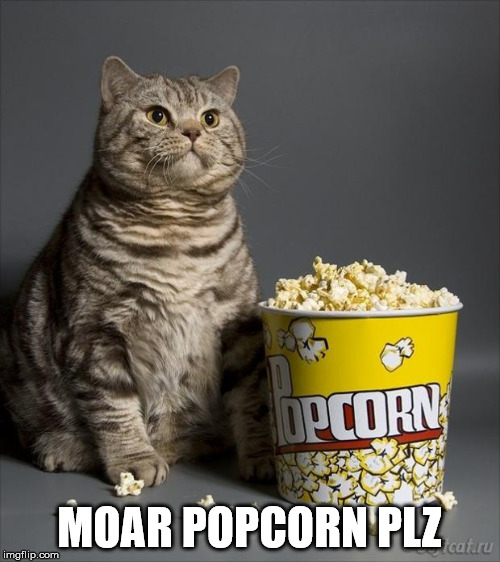 Cat eating popcorn | MOAR POPCORN PLZ | image tagged in cat eating popcorn | made w/ Imgflip meme maker