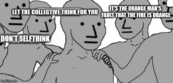 NPC Blank | DON'T SELFTHINK LET THE COLLECTIVE THINK FOR YOU IT'S THE ORANGE MAN'S FAULT THAT THE FIRE IS ORANGE | image tagged in npc blank | made w/ Imgflip meme maker