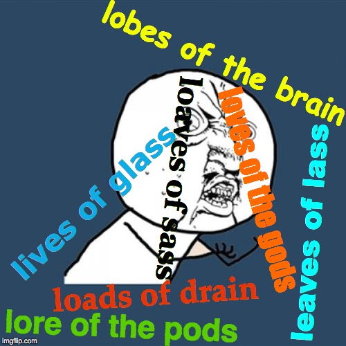 U No Y | lobes of the brain; loaves of sass; loves of the gods; lives of glass; leaves of lass; loads of drain; lore of the pods | image tagged in memes,y u no,teamwork makes the dream work,nobody bats an eye,why aliens won't talk to us,pods | made w/ Imgflip meme maker