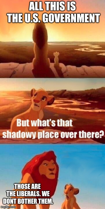 Simba Shadowy Place Meme | ALL THIS IS THE U.S. GOVERNMENT; THOSE ARE THE LIBERALS. WE DONT BOTHER THEM. | image tagged in memes,simba shadowy place | made w/ Imgflip meme maker