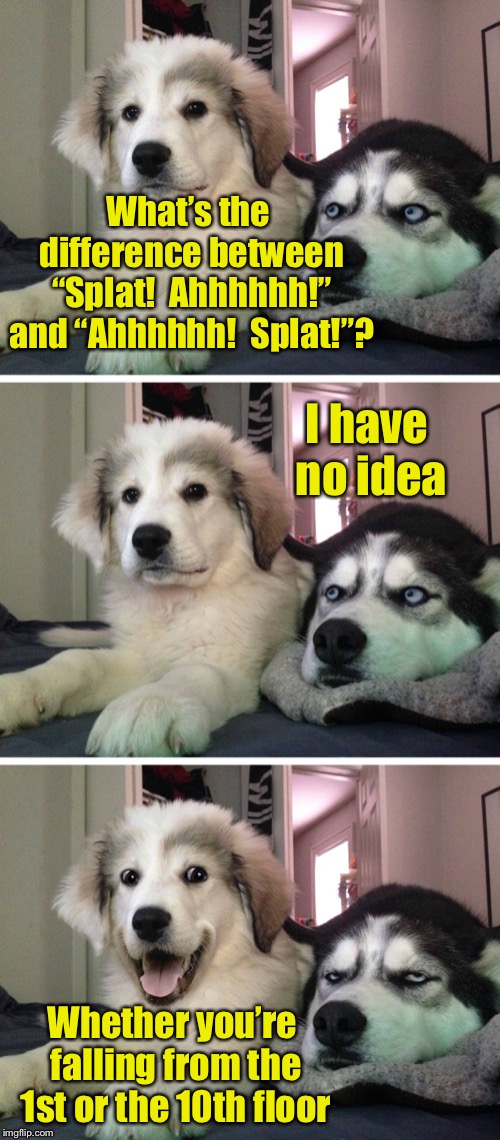 This joke fell flat on its face, literally. | What’s the difference between “Splat!  Ahhhhhh!” and “Ahhhhhh!  Splat!”? I have no idea; Whether you’re falling from the 1st or the 10th floor | image tagged in bad pun dogs,memes,bad joke dog | made w/ Imgflip meme maker