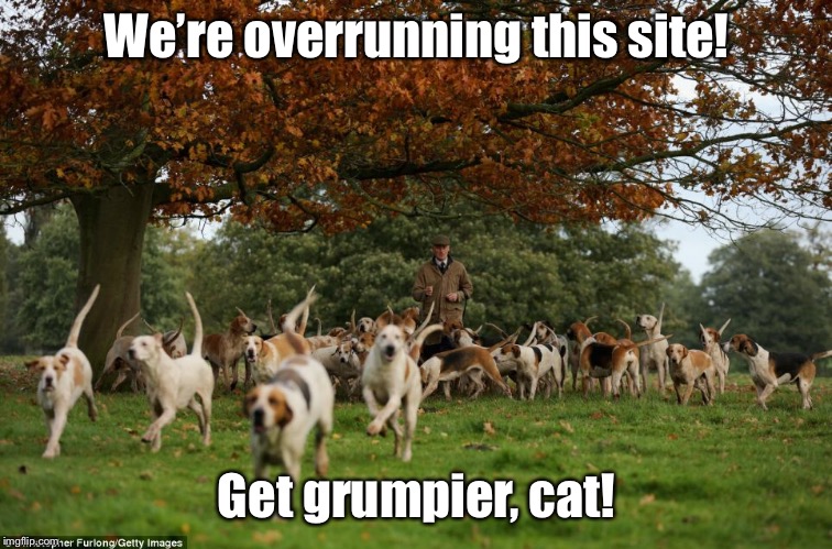 No Dog Site?! | We’re overrunning this site! Get grumpier, cat! | image tagged in overrun,dogs,grumpy cat,imgflip | made w/ Imgflip meme maker