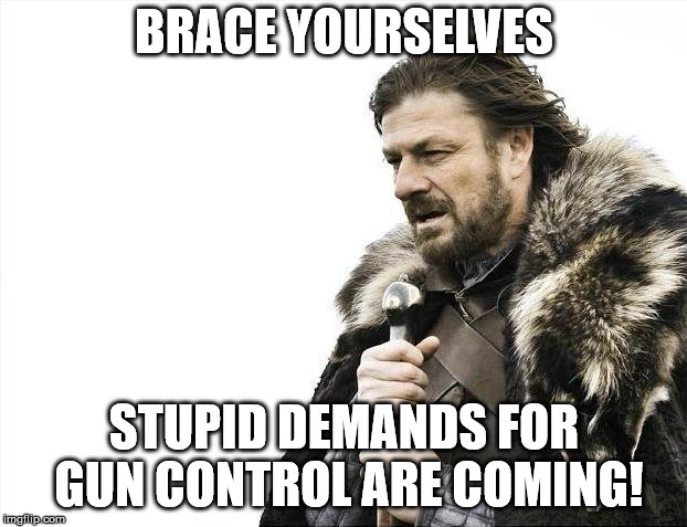 Brace Yourselves X is Coming Meme | BRACE YOURSELVES STUPID DEMANDS FOR GUN CONTROL ARE COMING! | image tagged in memes,brace yourselves x is coming | made w/ Imgflip meme maker
